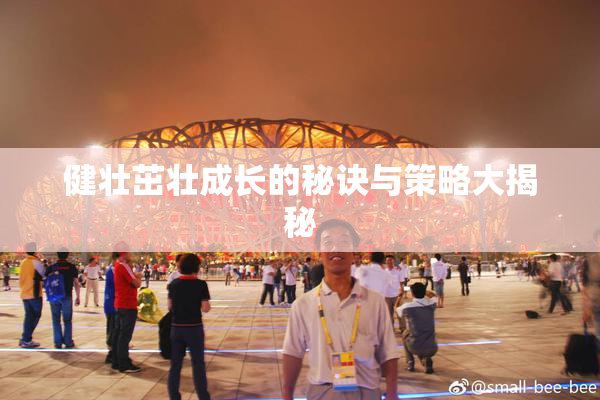 健壮茁壮成长的秘诀与策略大揭秘