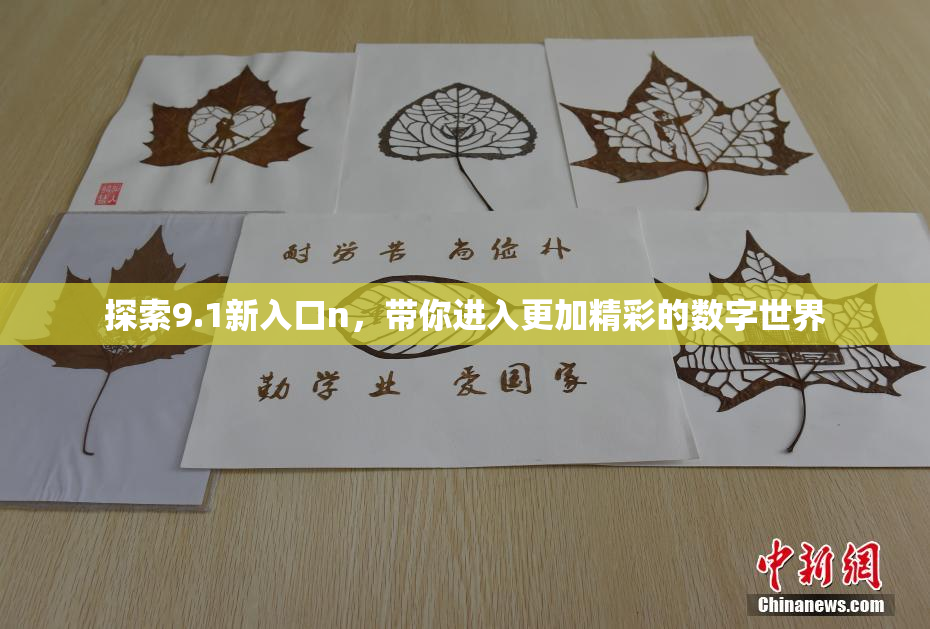 探索9.1新入口n，带你进入更加精彩的数字世界