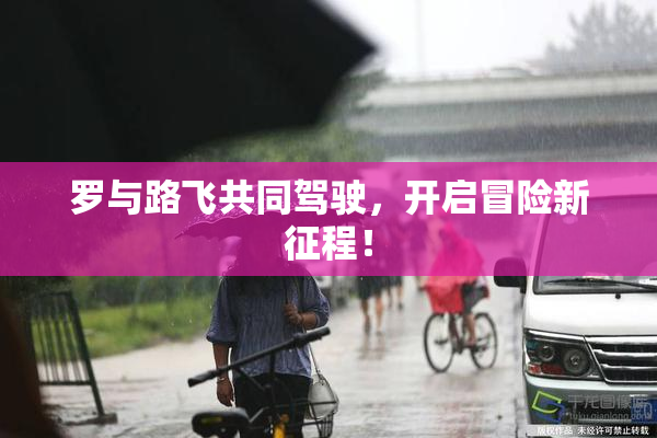 罗与路飞共同驾驶，开启冒险新征程！