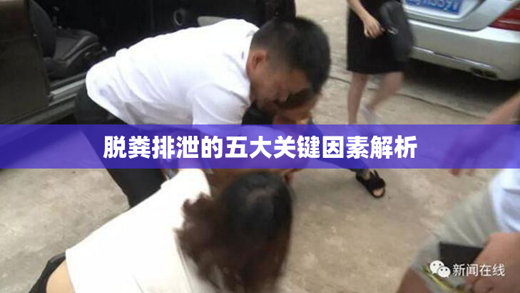 脱粪排泄的五大关键因素解析