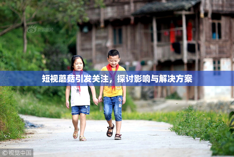 短视蘑菇引发关注，探讨影响与解决方案