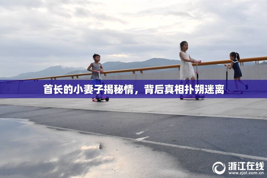首长的小妻子揭秘情，背后真相扑朔迷离