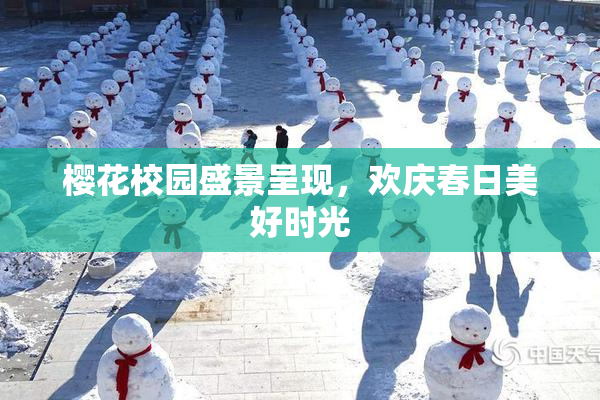 樱花校园盛景呈现，欢庆春日美好时光