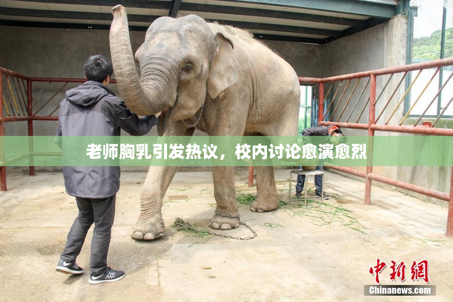 老师胸乳引发热议，校内讨论愈演愈烈
