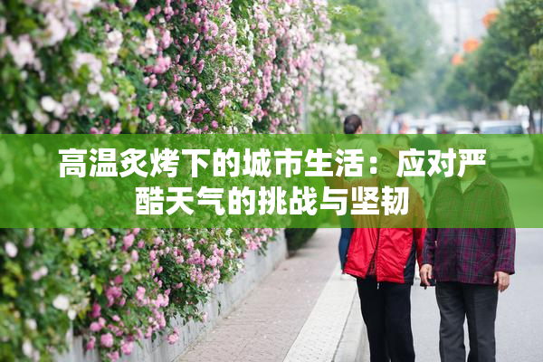 高温炙烤下的城市生活：应对严酷天气的挑战与坚韧