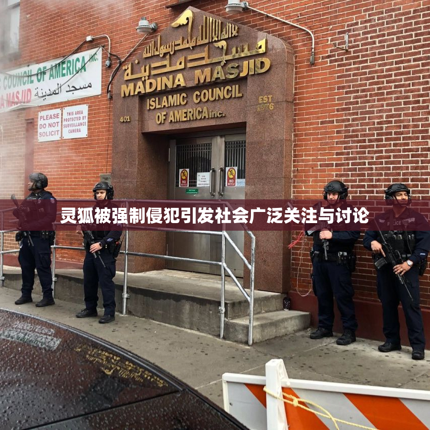 灵狐被强制侵犯引发社会广泛关注与讨论
