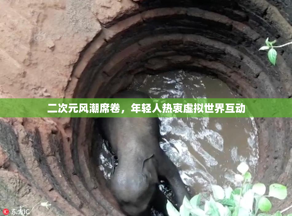 二次元风潮席卷，年轻人热衷虚拟世界互动