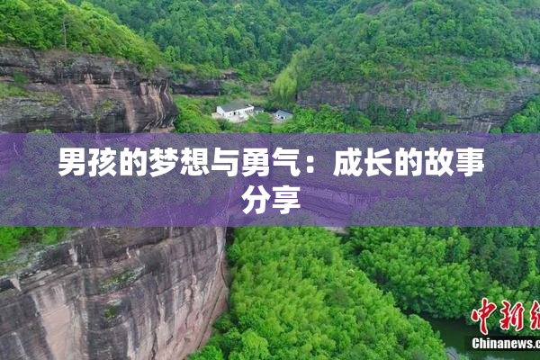 男孩的梦想与勇气：成长的故事分享