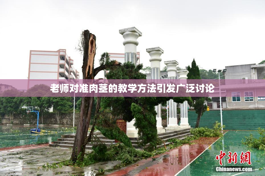 老师对准肉茎的教学方法引发广泛讨论