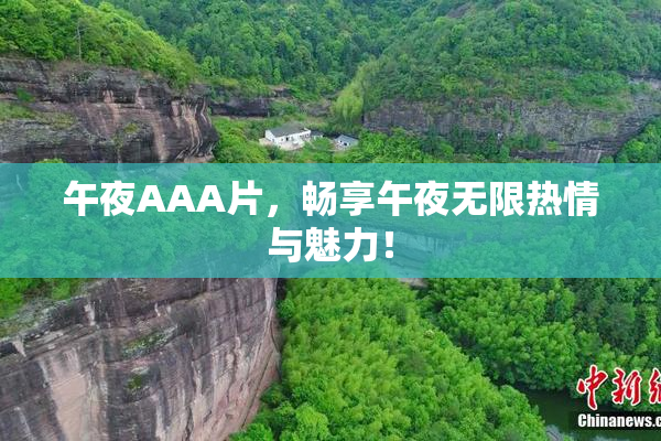 午夜AAA片，畅享午夜无限热情与魅力！