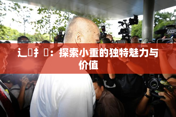 辶喿扌畐：探索小重的独特魅力与价值