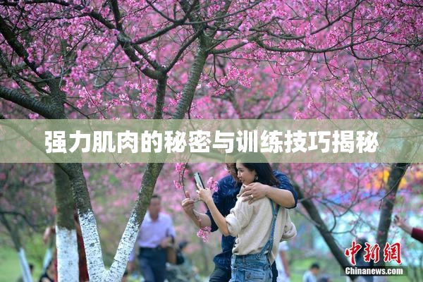 强力肌肉的秘密与训练技巧揭秘