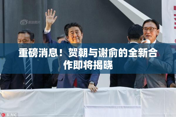 重磅消息！贺朝与谢俞的全新合作即将揭晓