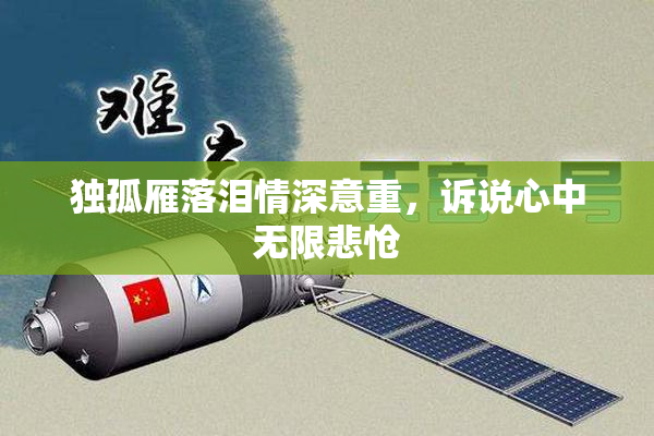 独孤雁落泪情深意重，诉说心中无限悲怆
