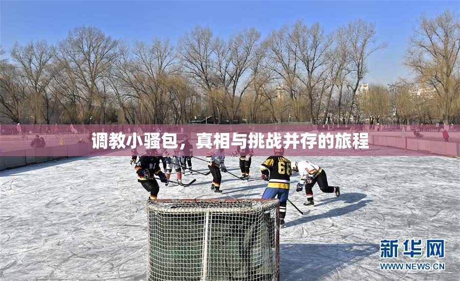 调教小骚包，真相与挑战并存的旅程