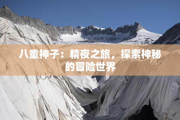 八重神子：精夜之旅，探索神秘的冒险世界
