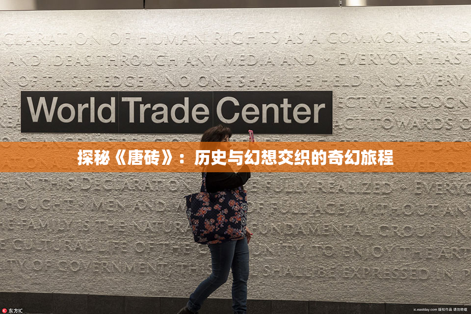 探秘《唐砖》：历史与幻想交织的奇幻旅程
