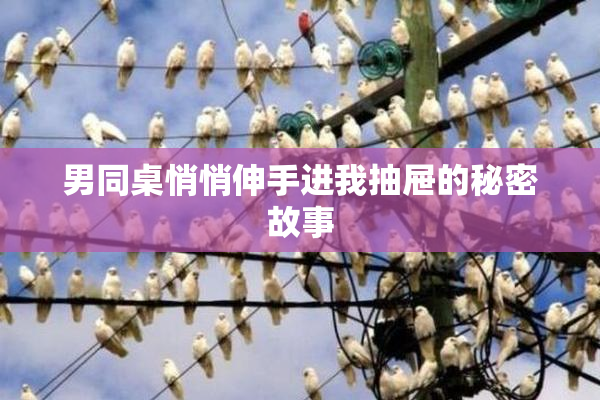 男同桌悄悄伸手进我抽屉的秘密故事