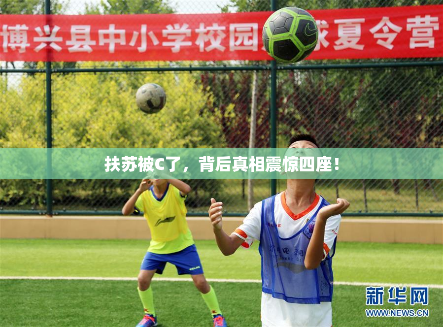 扶苏被C了，背后真相震惊四座！