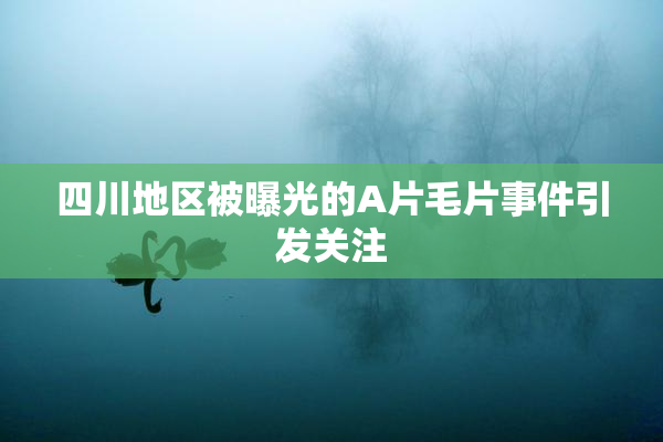 四川地区被曝光的A片毛片事件引发关注