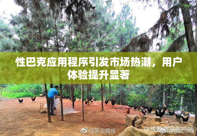 性巴克应用程序引发市场热潮，用户体验提升显著