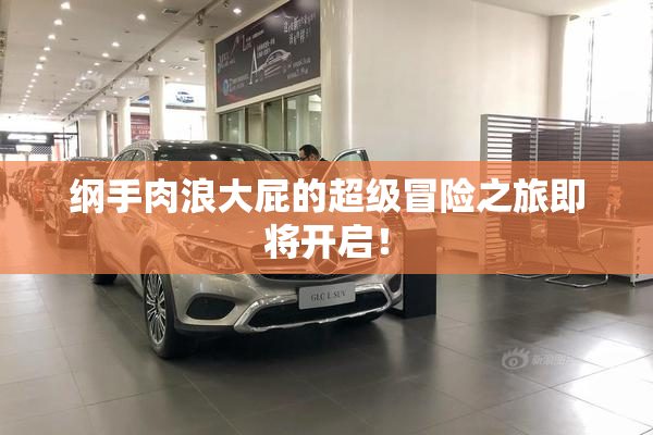 纲手肉浪大屁的超级冒险之旅即将开启！