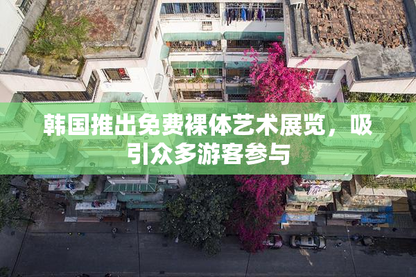 韩国推出免费裸体艺术展览，吸引众多游客参与
