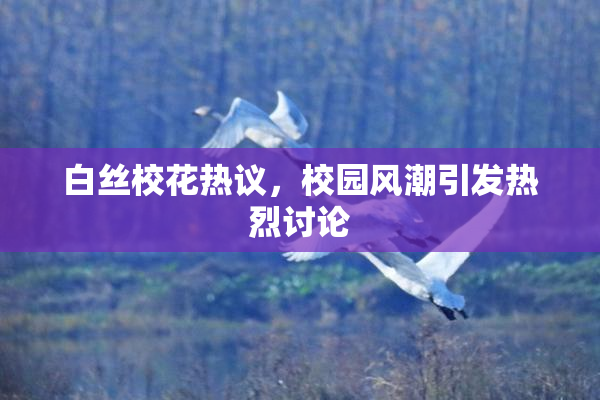 白丝校花热议，校园风潮引发热烈讨论