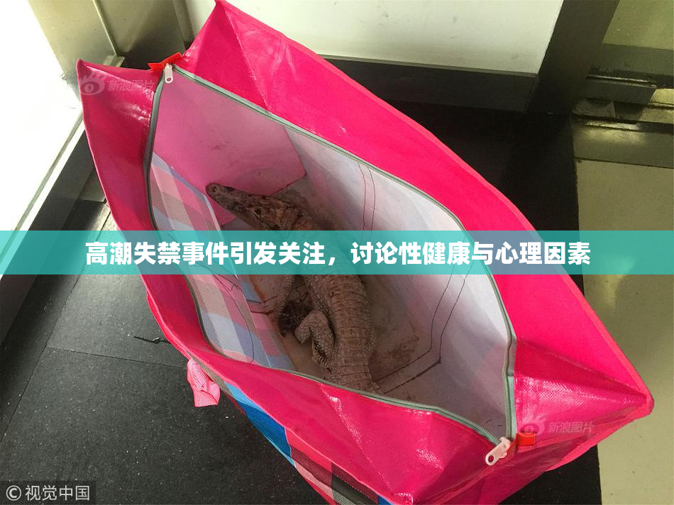 高潮失禁事件引发关注，讨论性健康与心理因素