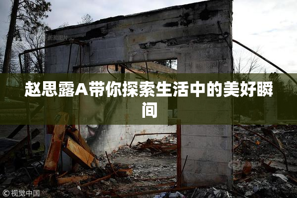 赵思露A带你探索生活中的美好瞬间