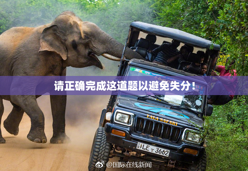 请正确完成这道题以避免失分！