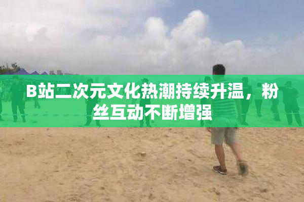B站二次元文化热潮持续升温，粉丝互动不断增强