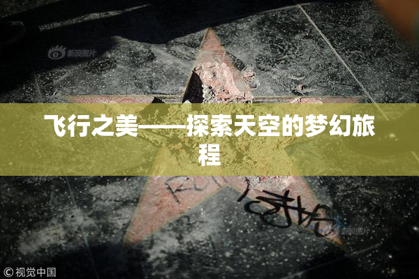 飞行之美——探索天空的梦幻旅程