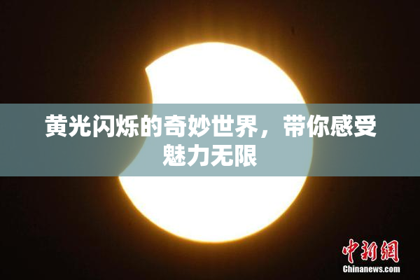 黄光闪烁的奇妙世界，带你感受魅力无限