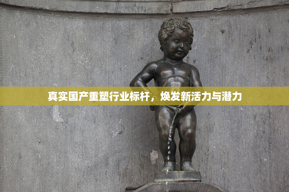 真实国产重塑行业标杆，焕发新活力与潜力