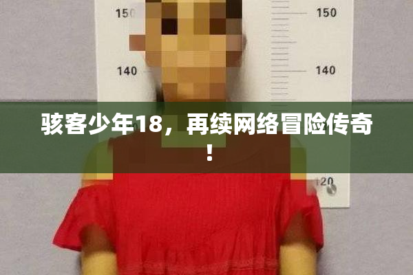 骇客少年18，再续网络冒险传奇！