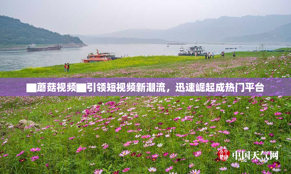 ▇蘑菇视频▇引领短视频新潮流，迅速崛起成热门平台