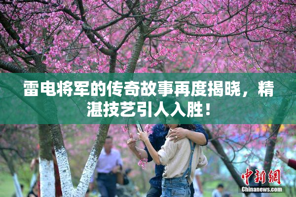 雷电将军的传奇故事再度揭晓，精湛技艺引人入胜！