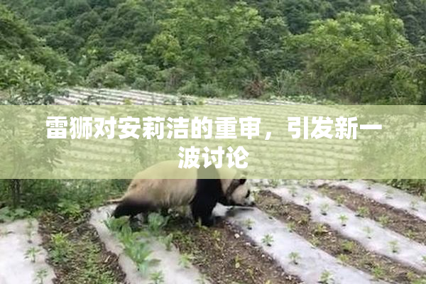 雷狮对安莉洁的重审，引发新一波讨论