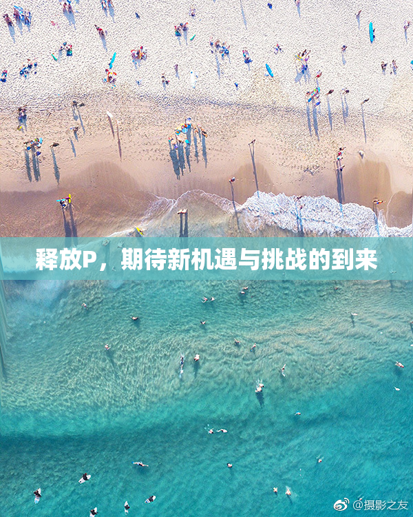 释放P，期待新机遇与挑战的到来