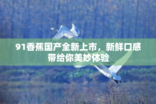 91香蕉国产全新上市，新鲜口感带给你美妙体验