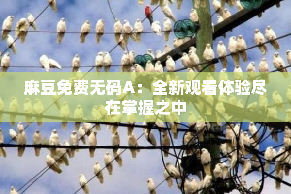 麻豆免费无码A：全新观看体验尽在掌握之中