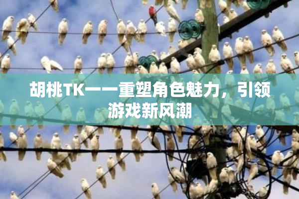 胡桃TK一一重塑角色魅力，引领游戏新风潮