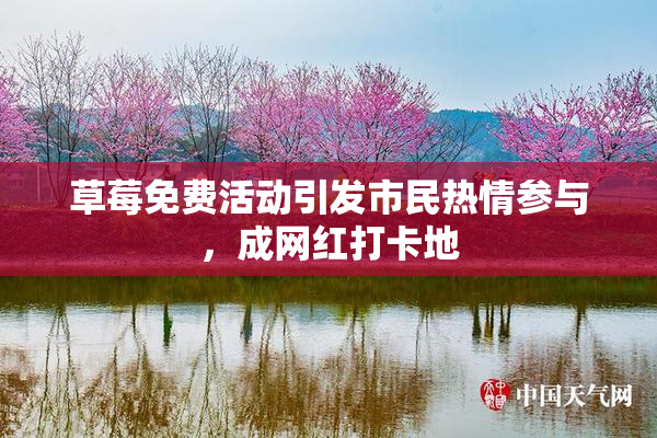 草莓免费活动引发市民热情参与，成网红打卡地