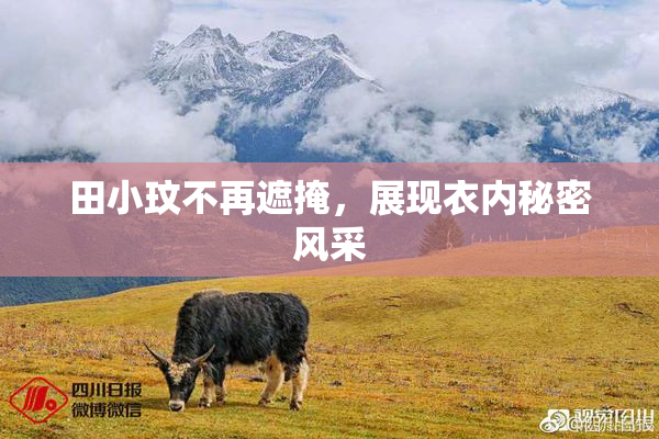 田小玟不再遮掩，展现衣内秘密风采