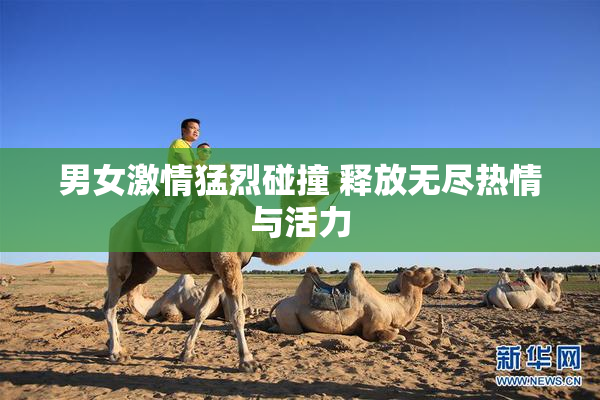 男女激情猛烈碰撞 释放无尽热情与活力