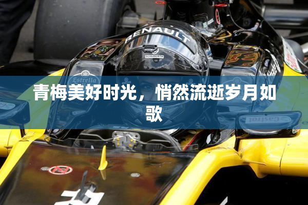 青梅美好时光，悄然流逝岁月如歌