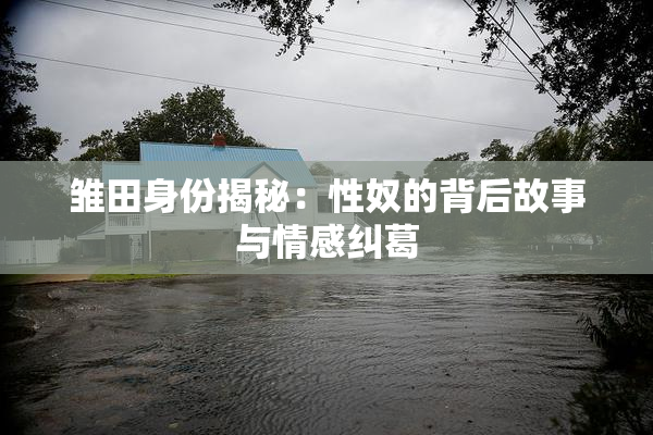 雏田身份揭秘：性奴的背后故事与情感纠葛