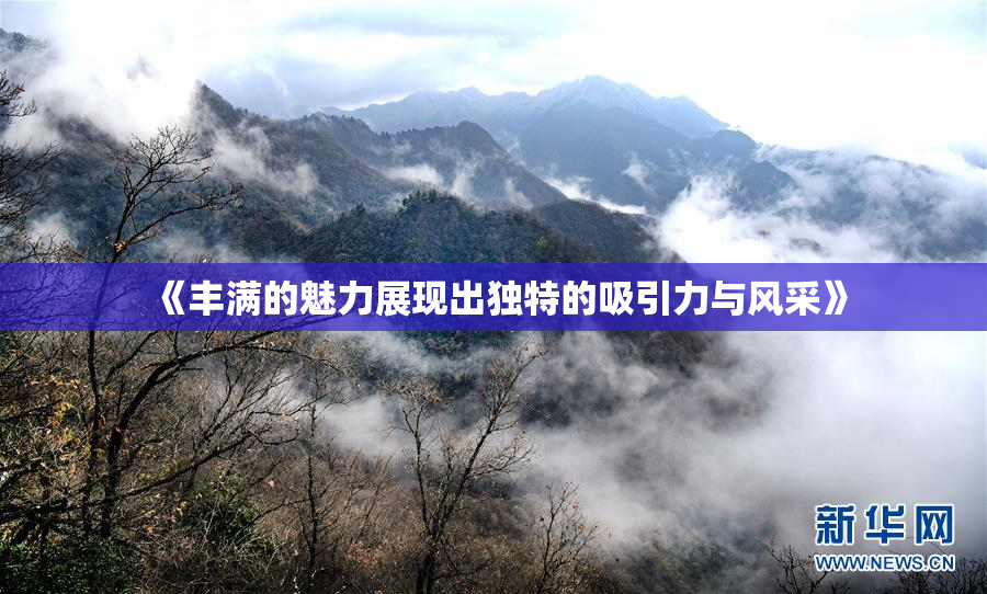 《丰满的魅力展现出独特的吸引力与风采》