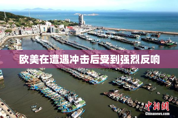 欧美在遭遇冲击后受到强烈反响